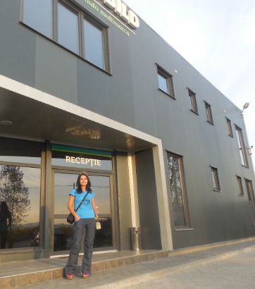 proiectare sedii firme
